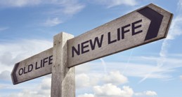 successlife